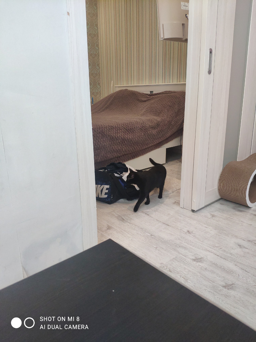 Личное фото автора!