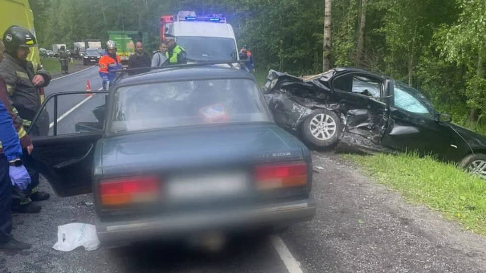 Фото: ГУ МВД по Петербургу и Ленобласти