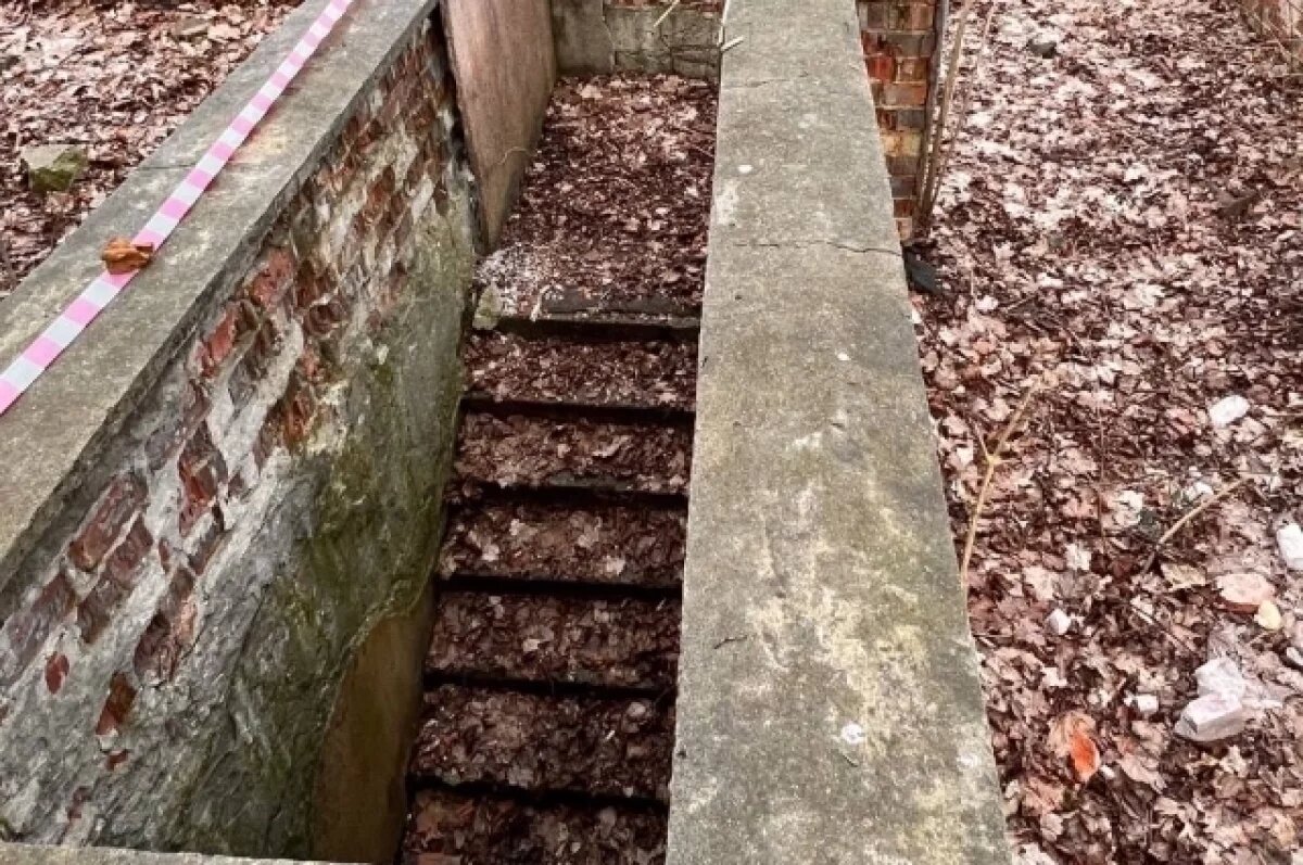    В Калининградском зоопарке обнаружили таинственное подземелье с туалетом