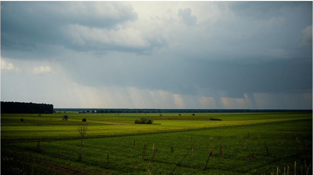 Фото: fusionbrain.ai/