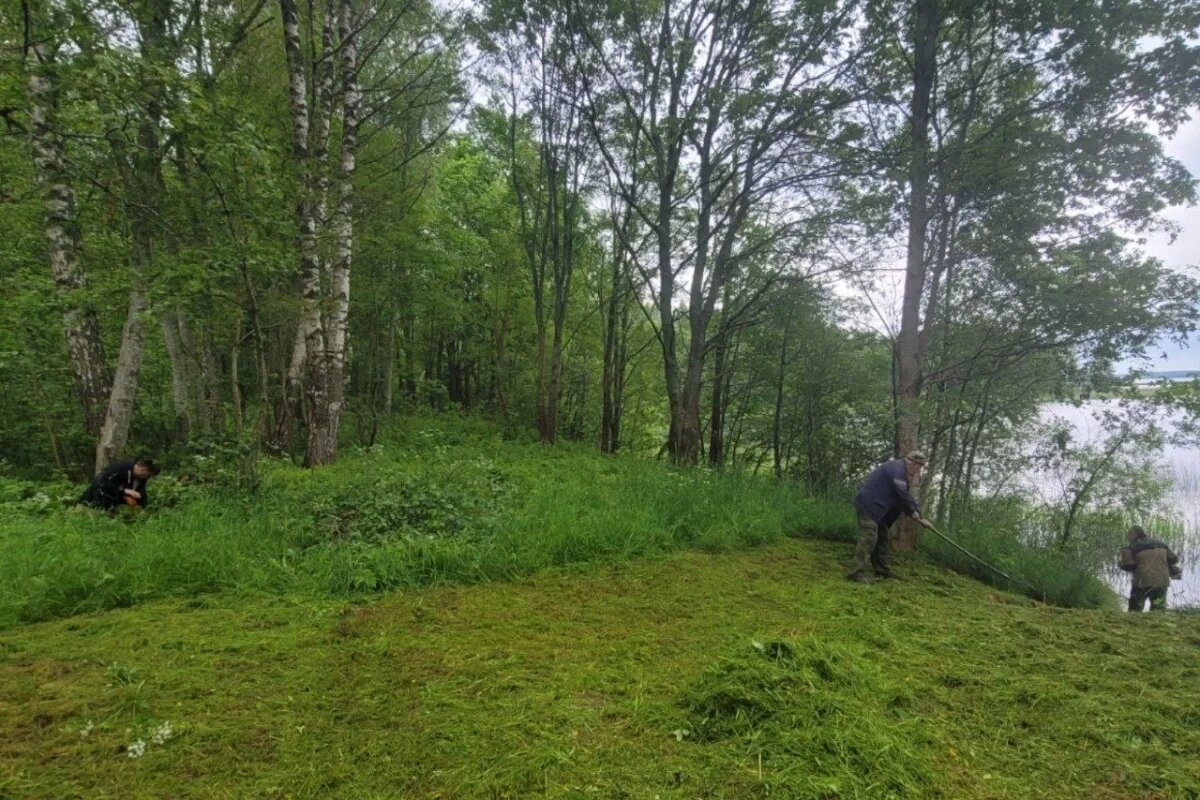    Части двигателя советского самолета достали псковские поисковики из озера