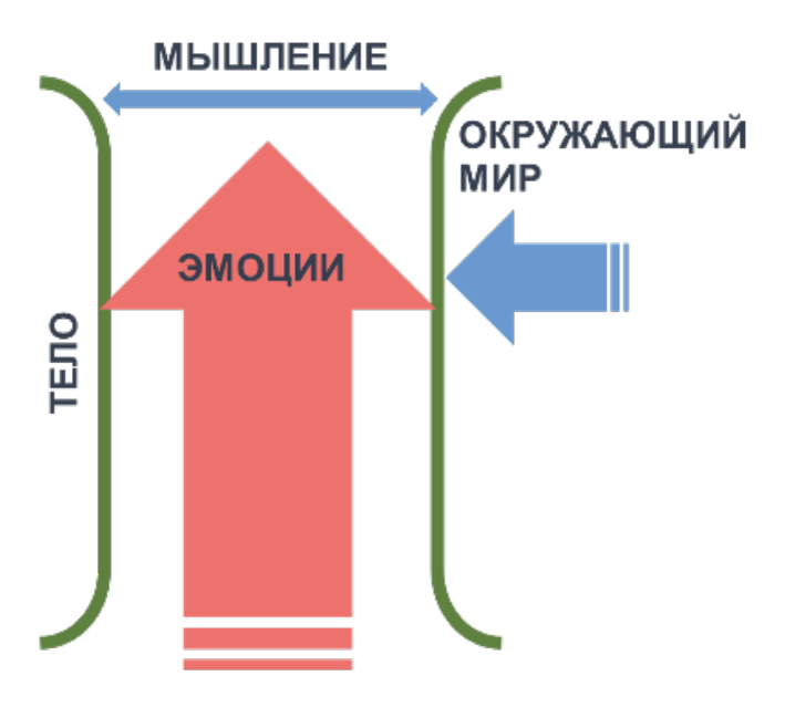 Источник: Журнал Живые города №3, 2023 г.