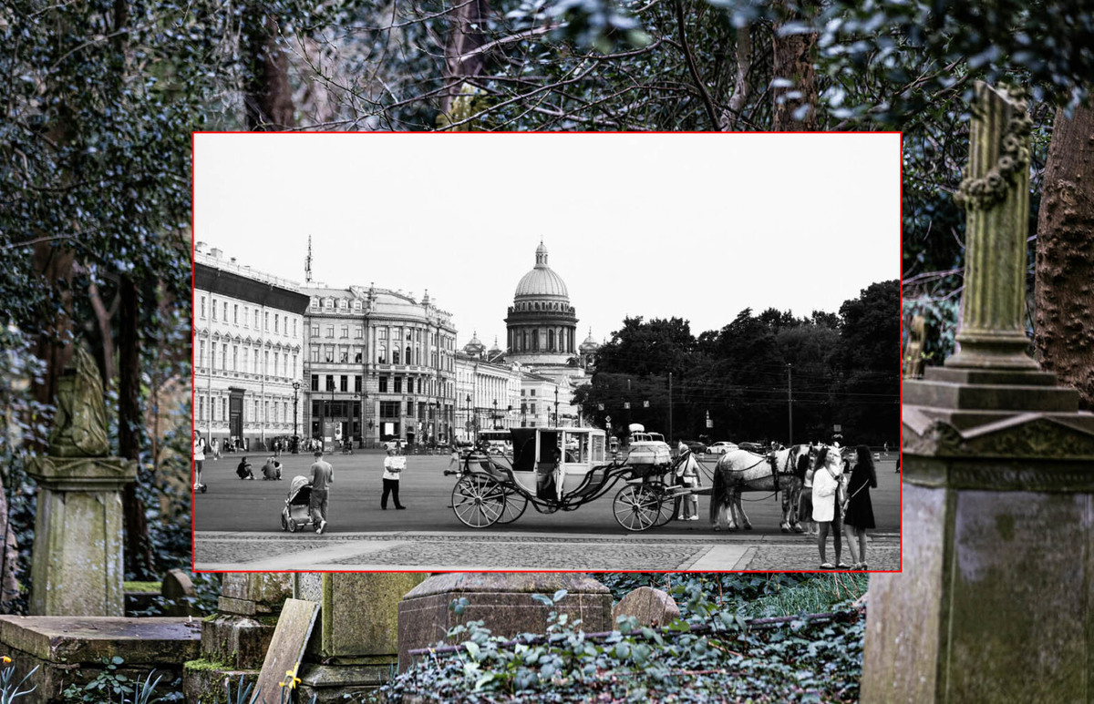    Фото: @andrei_mikhailov, Unsplash, архивы пресс-служб