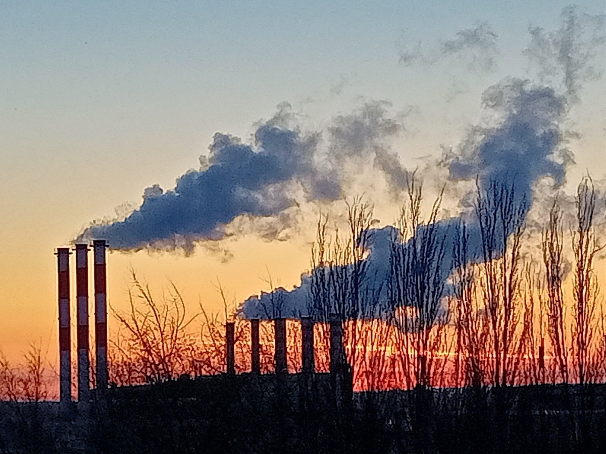    Фото: архив progorod