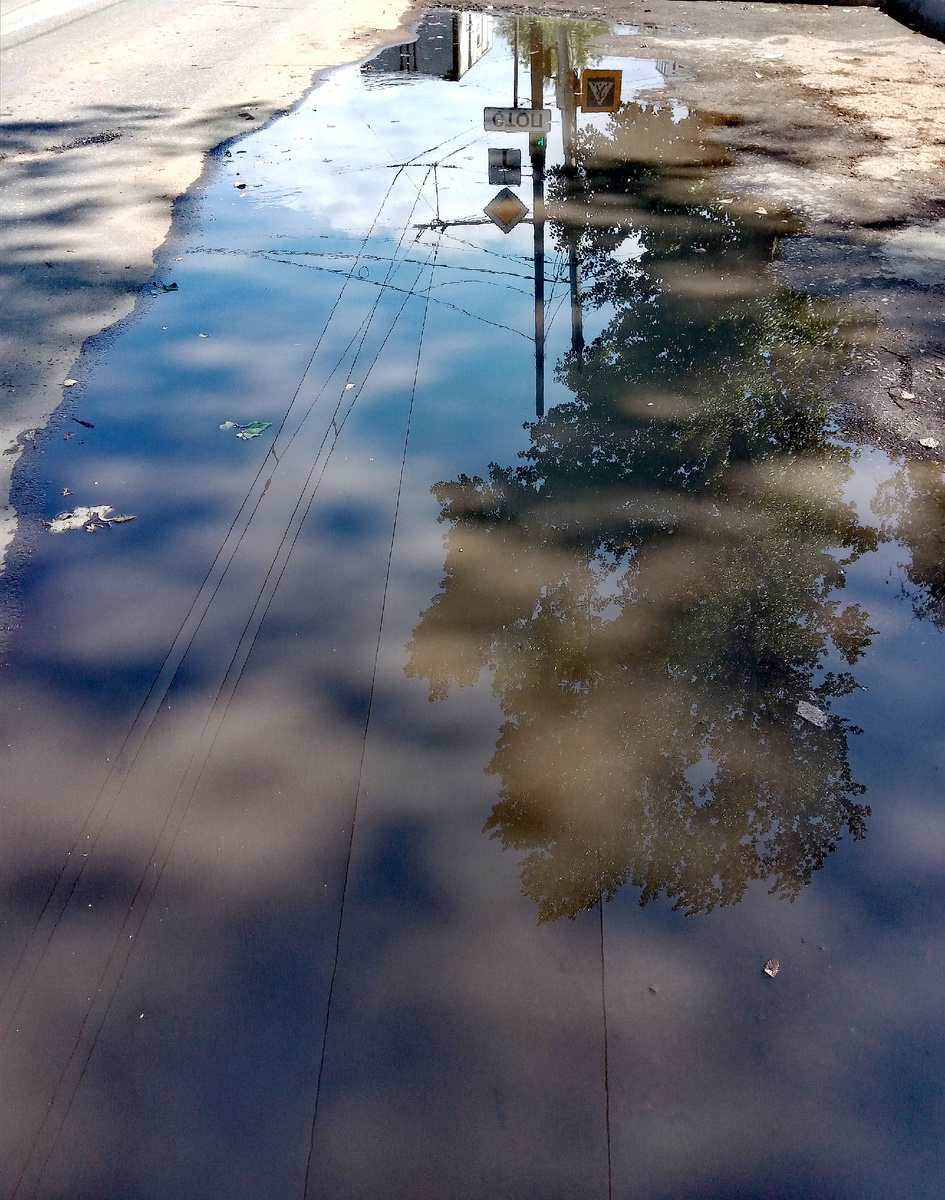 Фото автора.