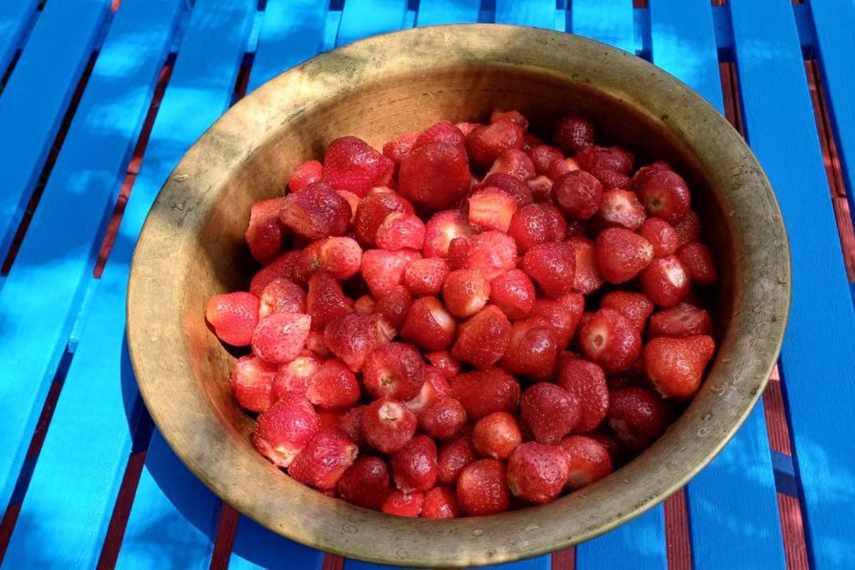 Фото «Кубань 24»