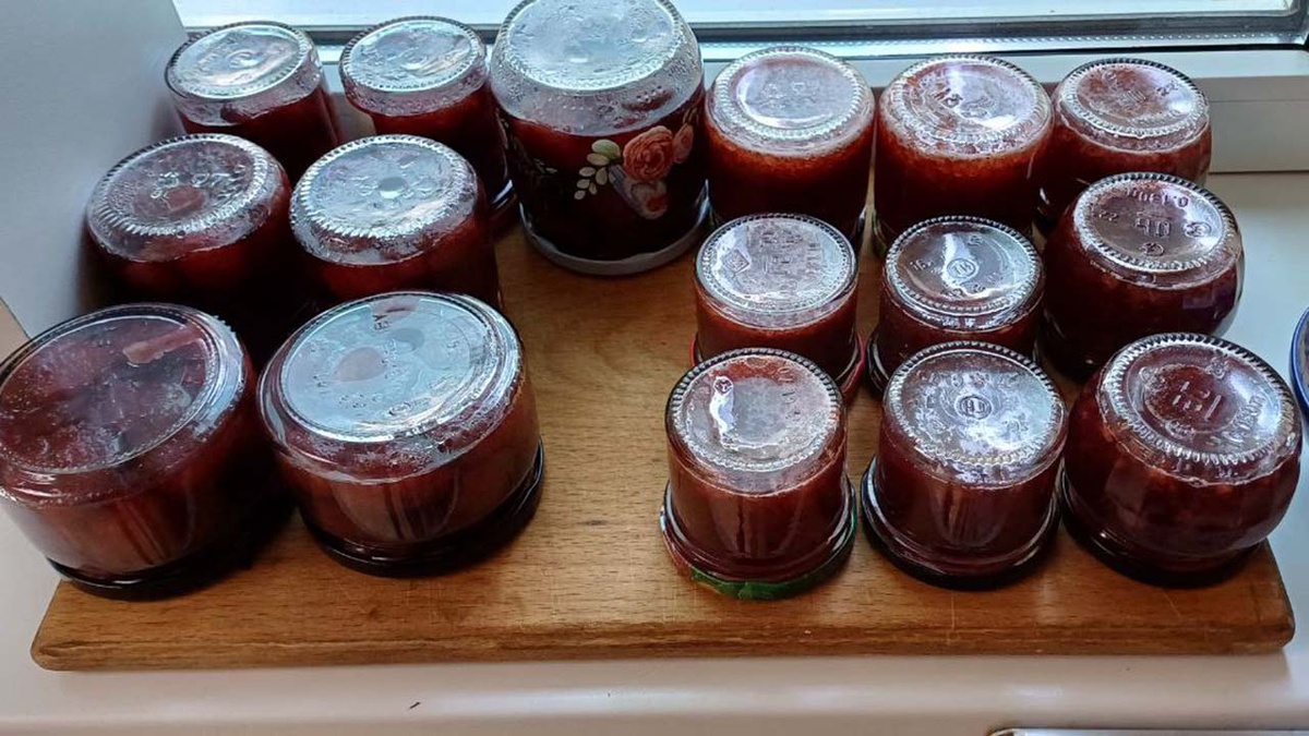 Фото «Кубань 24»