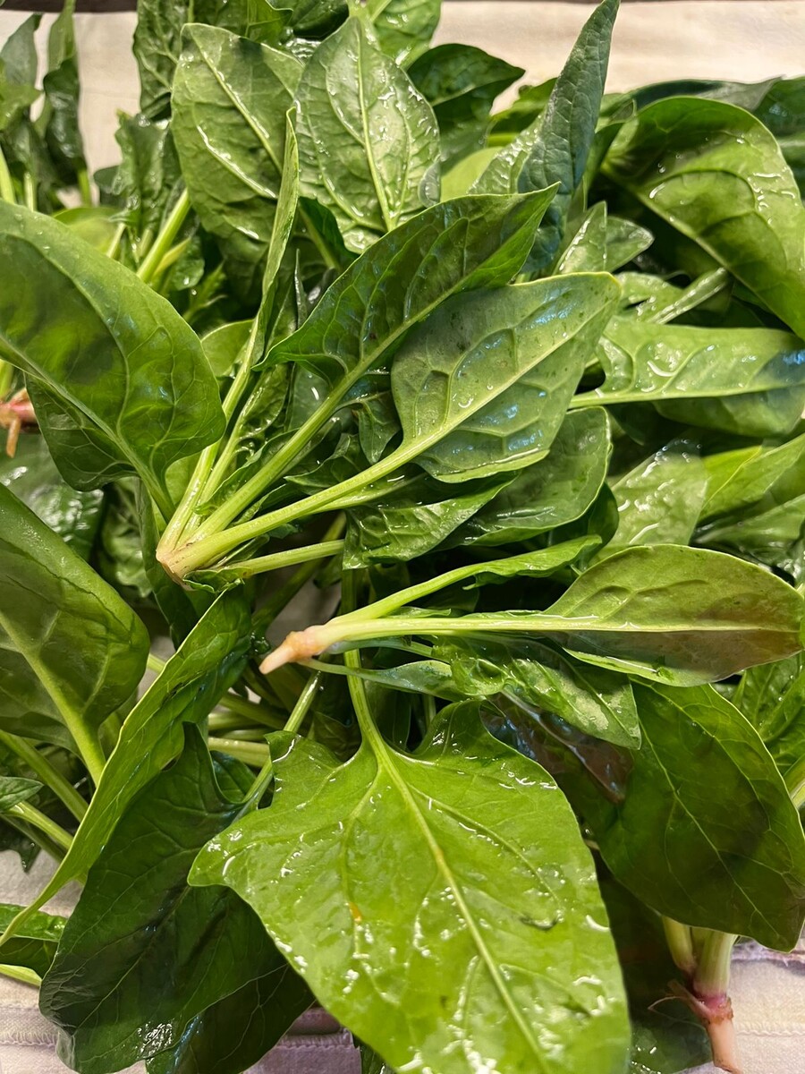 фото из личного архива