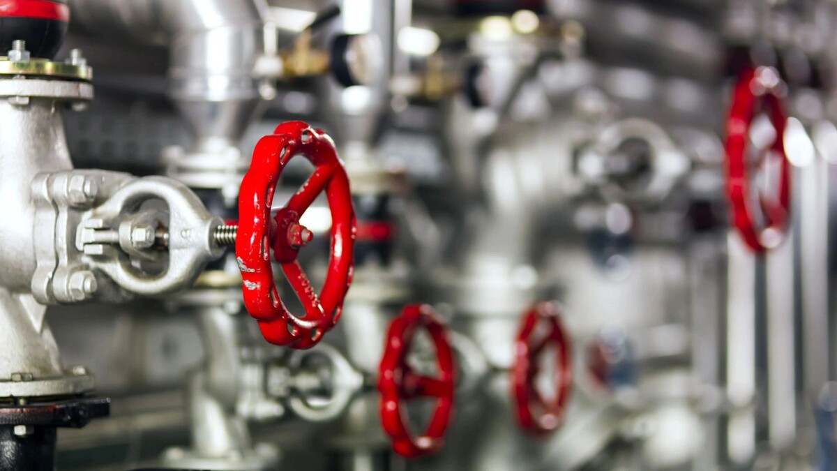    Фото: Don Pablo/ shutterstock.com / Fotodom