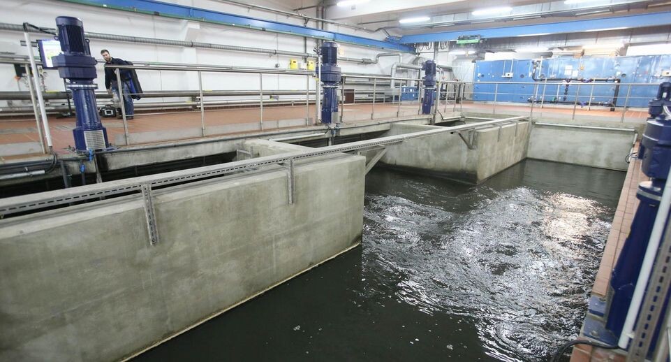    Медиасток.РФ (Медиаархив Подмосковья)