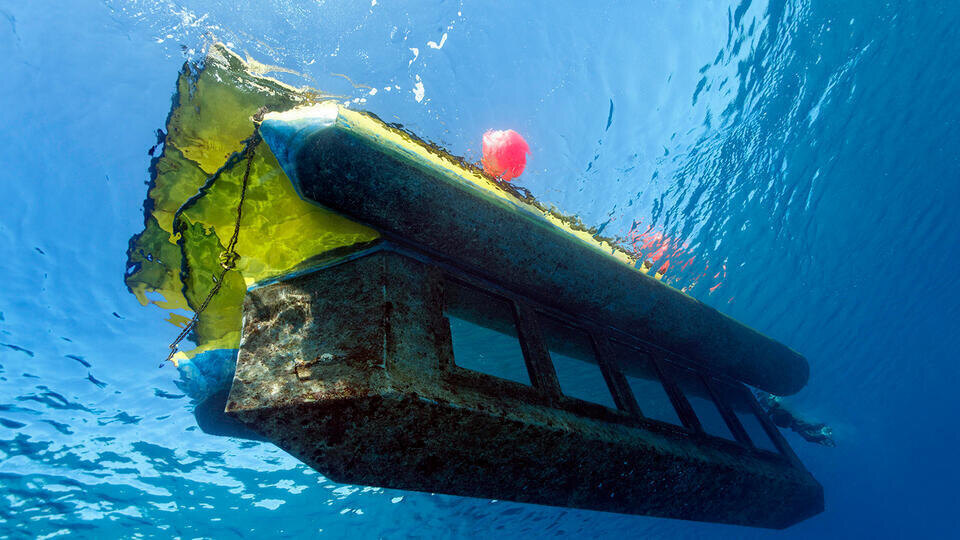 Фото: © www.globallookpress.com/Norbert Probst/imageBROKER.com