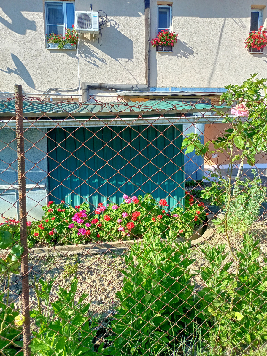 За этим забором красота красивая.