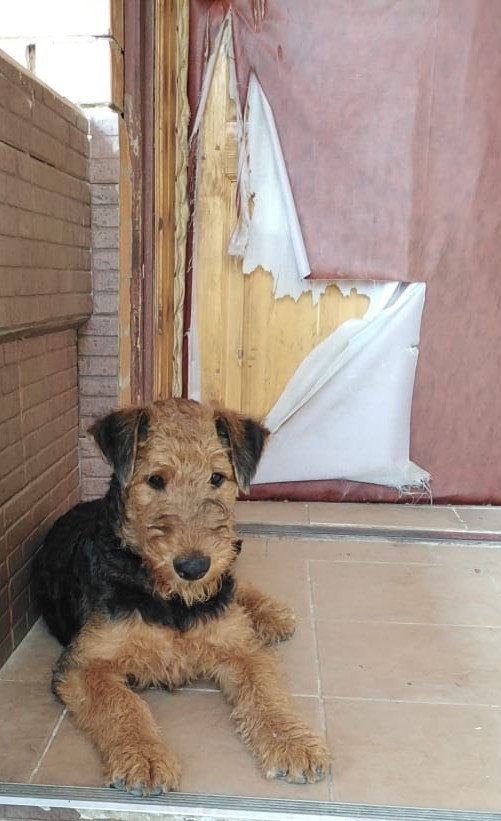 Яночка и дверь