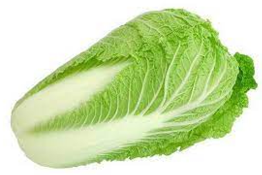 Пекинская капуста — очень полезный и универсальный овощ
