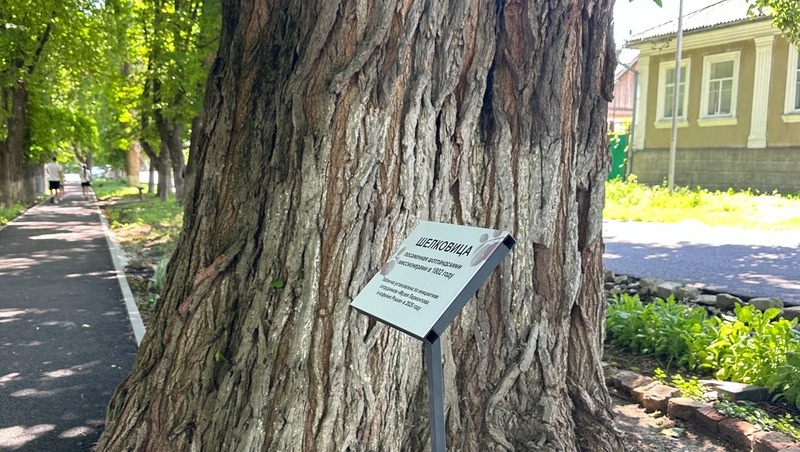      Фото: Администрация Железноводска