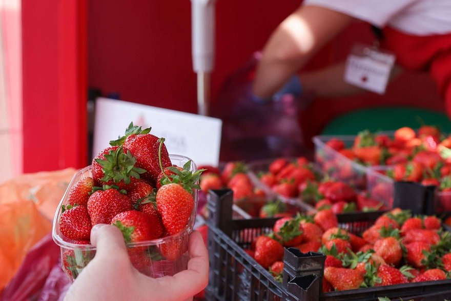    Фото: Shatokhina Natalia / News.ru / Globallookpress.com