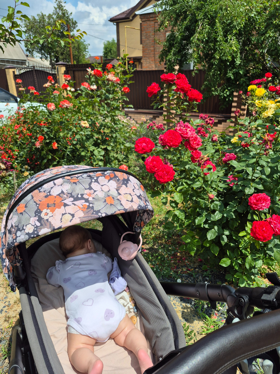 Цветник перед нашим домом