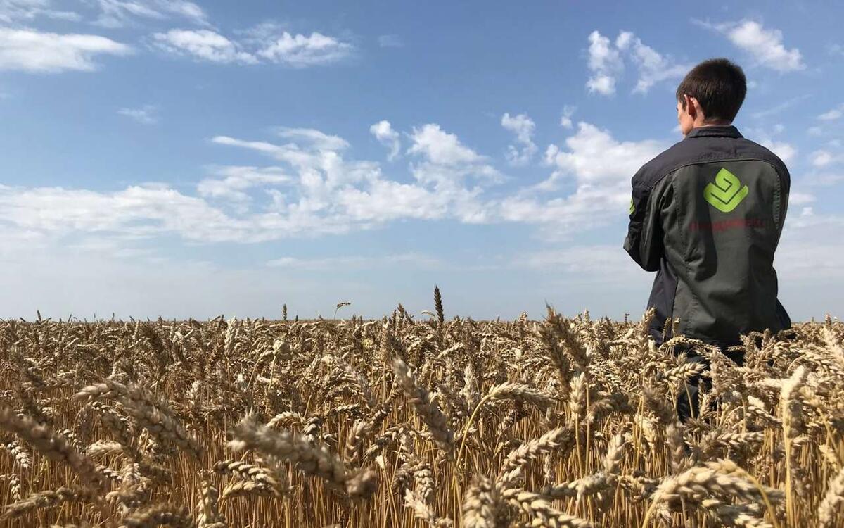    «Продимекс» принял участие в ярмарке вакансий в Воронежском ГАУ Фото – ГК «Продимекс»