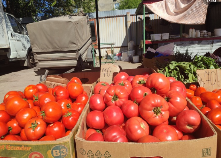    Екатерина Елисеева