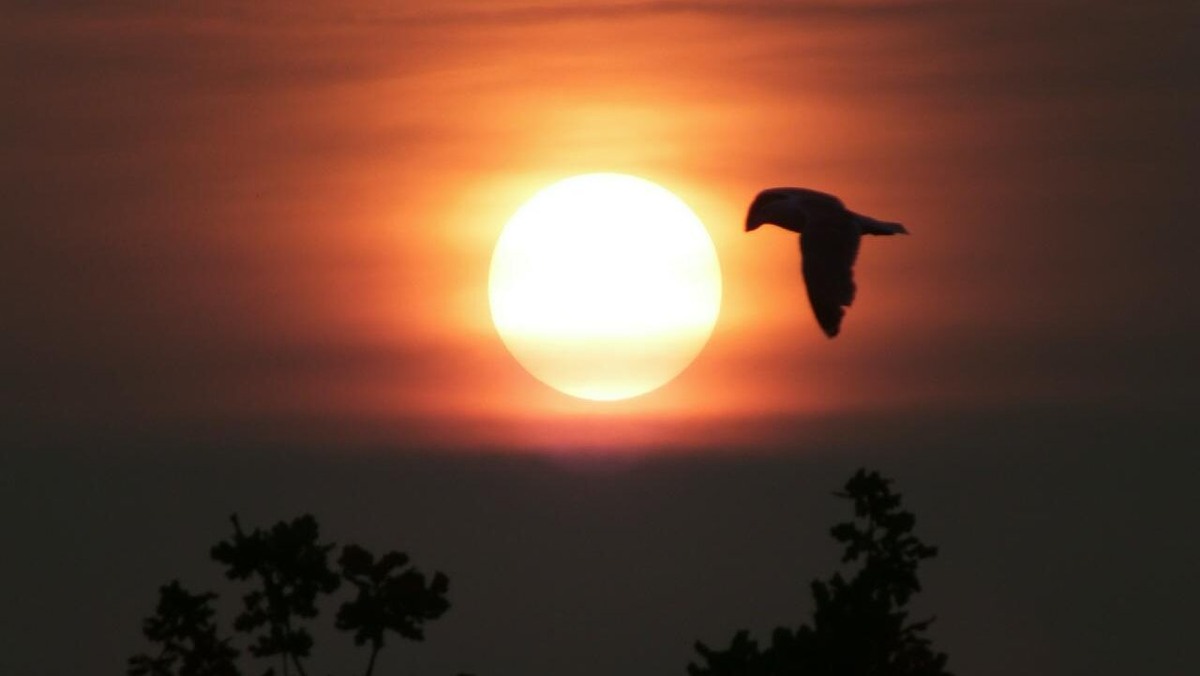    В Москве продолжительность светового дня составит около 17 часов 20 минут. Фото: Victor Lisitsyn / www.globallookpress.com