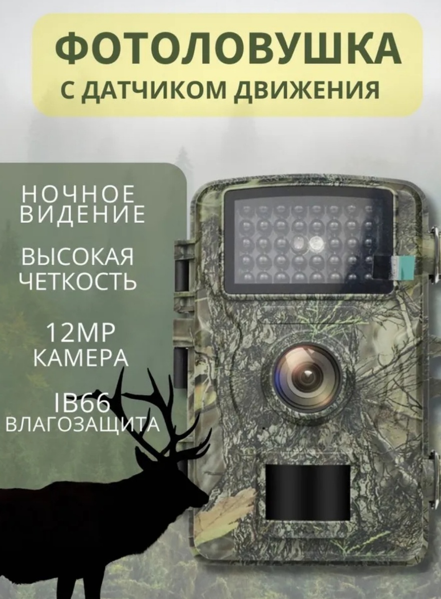 Самая простая и дешёвая модель фотоловушки