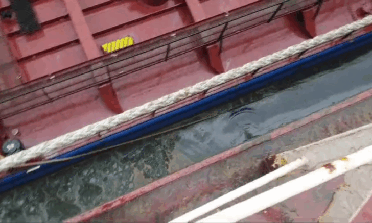    Фото: t.me/Rosprirodnadzor_official