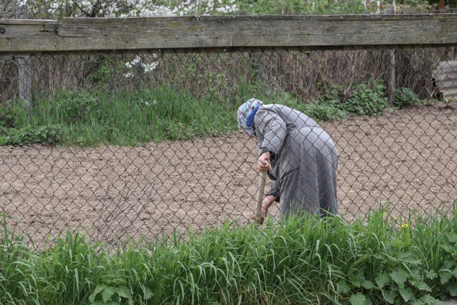    Сергей Булкин/NEWS.ru