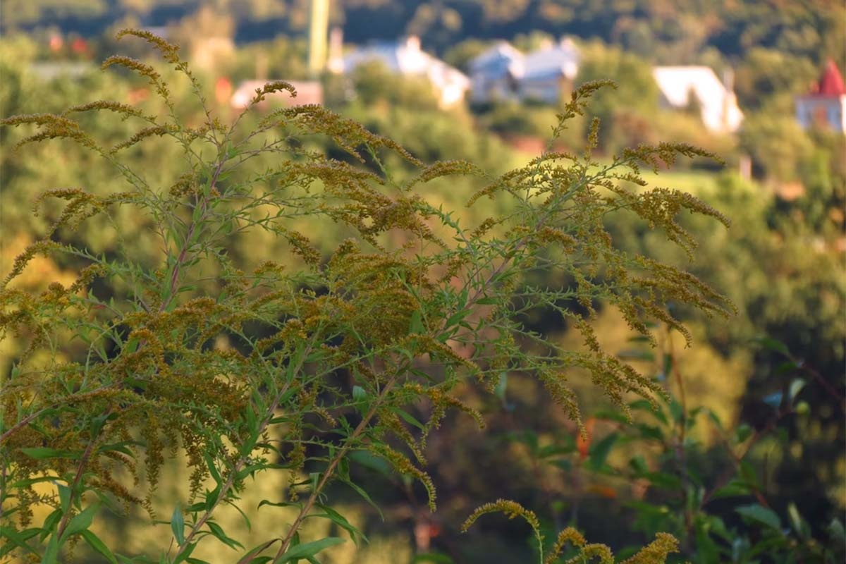 Фото unsplash.com