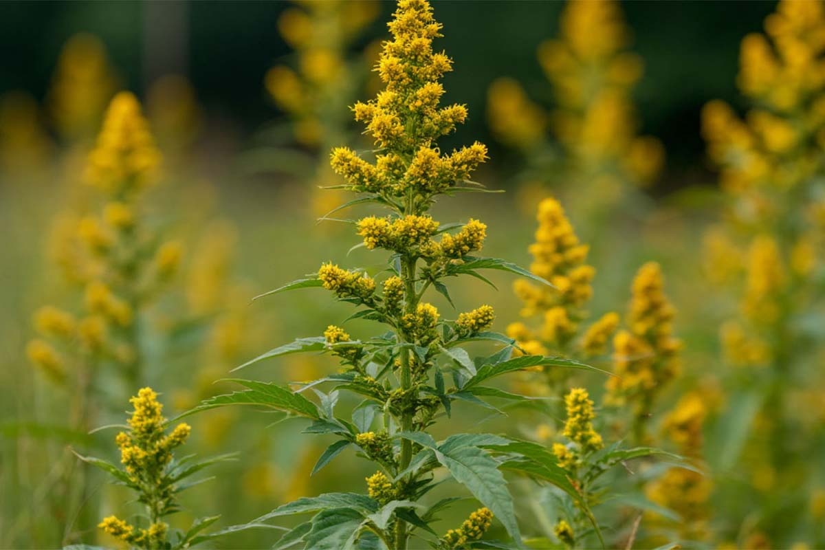 Иллюстрация сгенерирована нейросетью