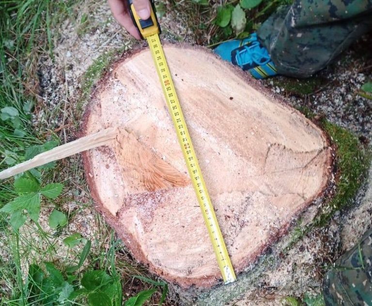    Фото пресс-службы прокуратуры Томской области Дмитрий Андреев