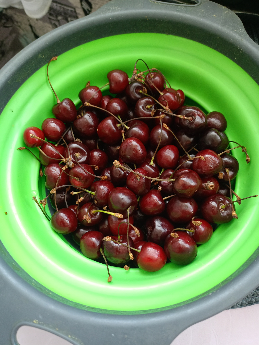 Фото моë. Поматало черешню по стране 😁😁