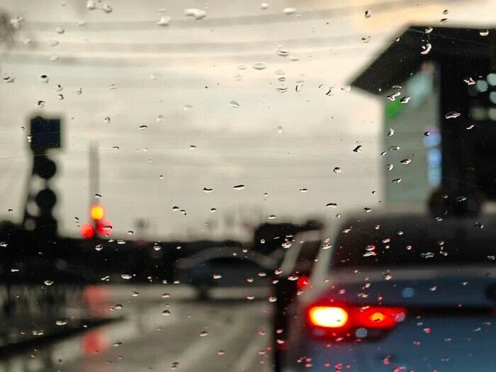    Фото: Юрий Серебренников/BFM Кубань