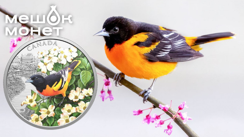    Обложка статьи