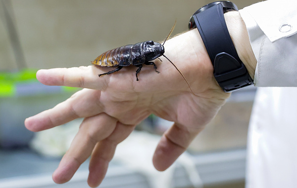 Кирилл Кухмарь/ТАСС