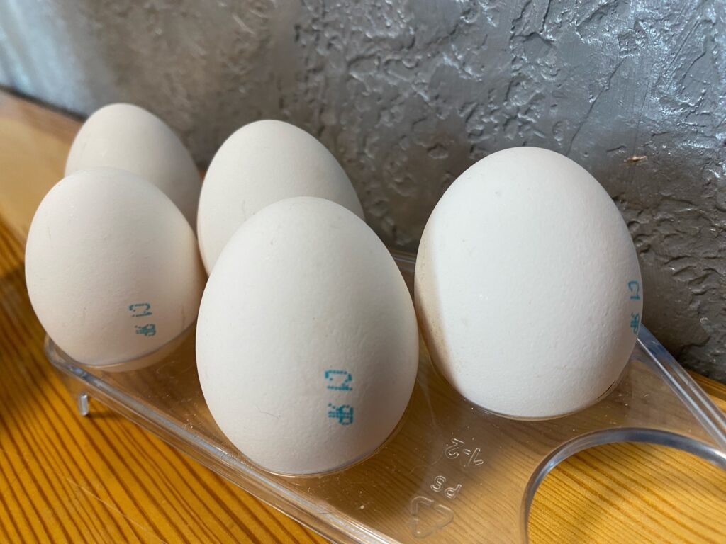    фото: Заузолков Александр