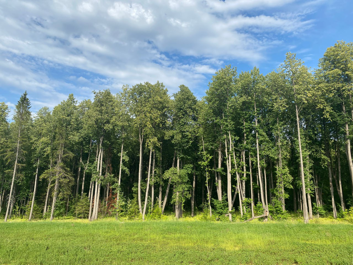    © Константин Долгановский