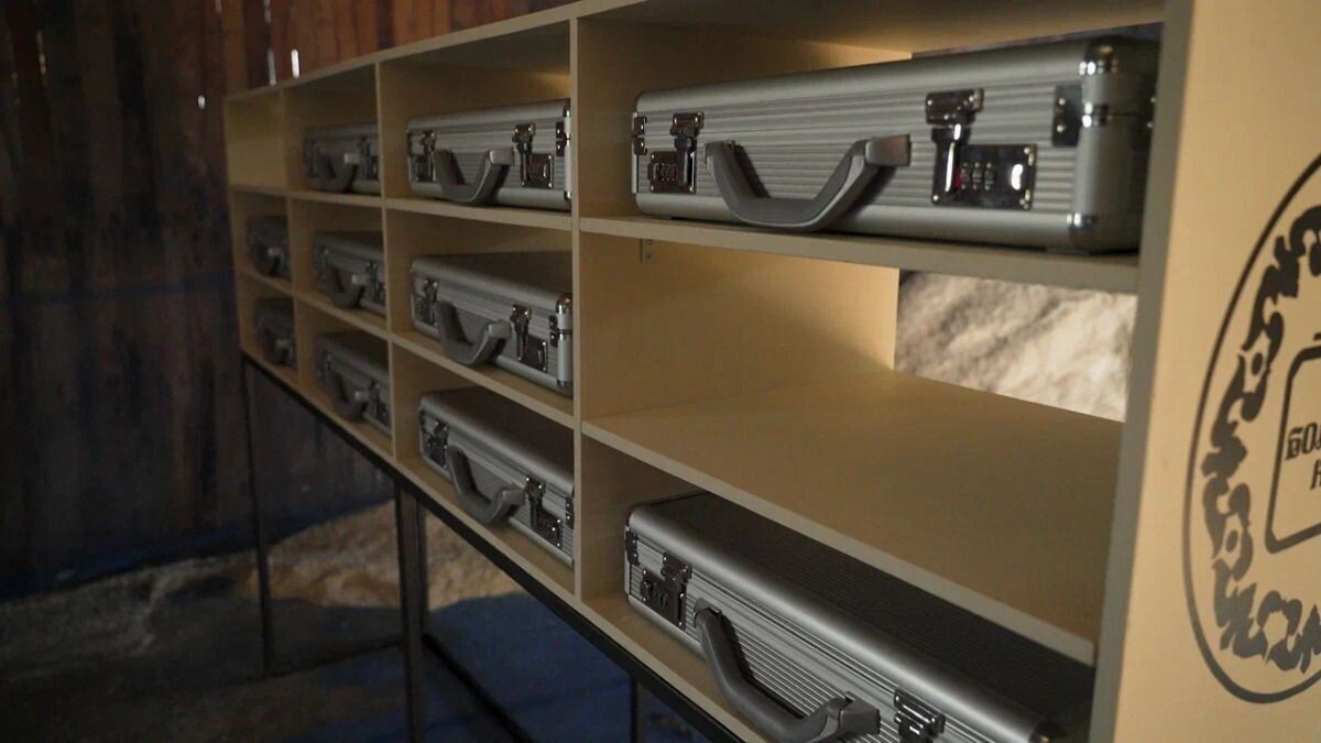     Источник: ТНТ