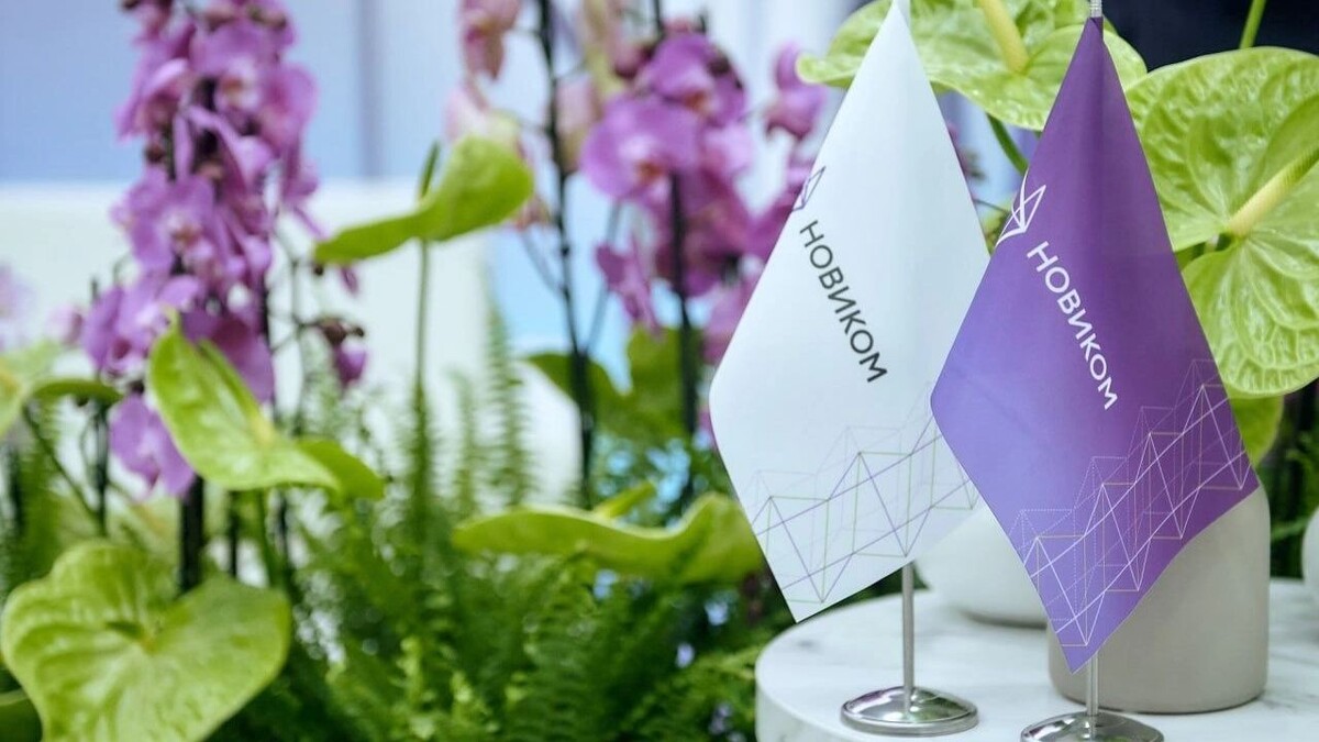     Источник: Новиком Банк