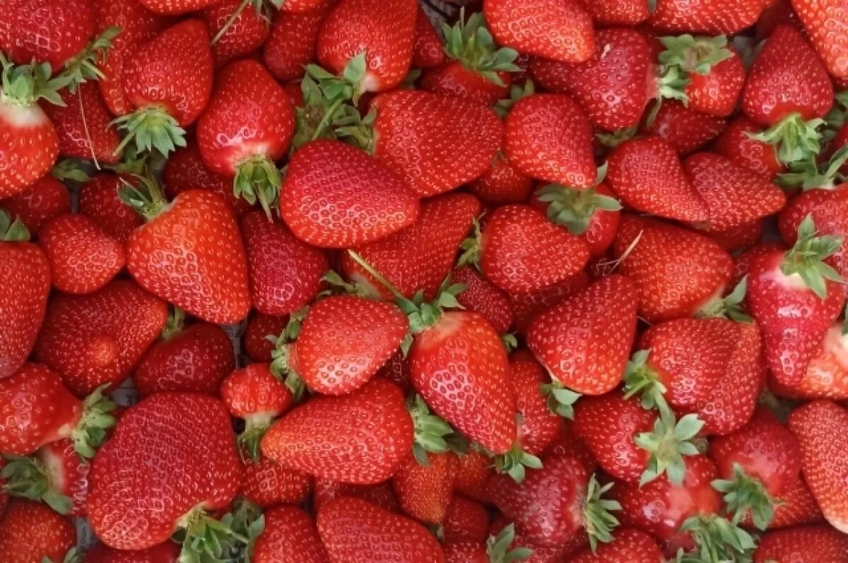     Варенье — привычно и понятно, но есть и другие способы запасти клубнику.