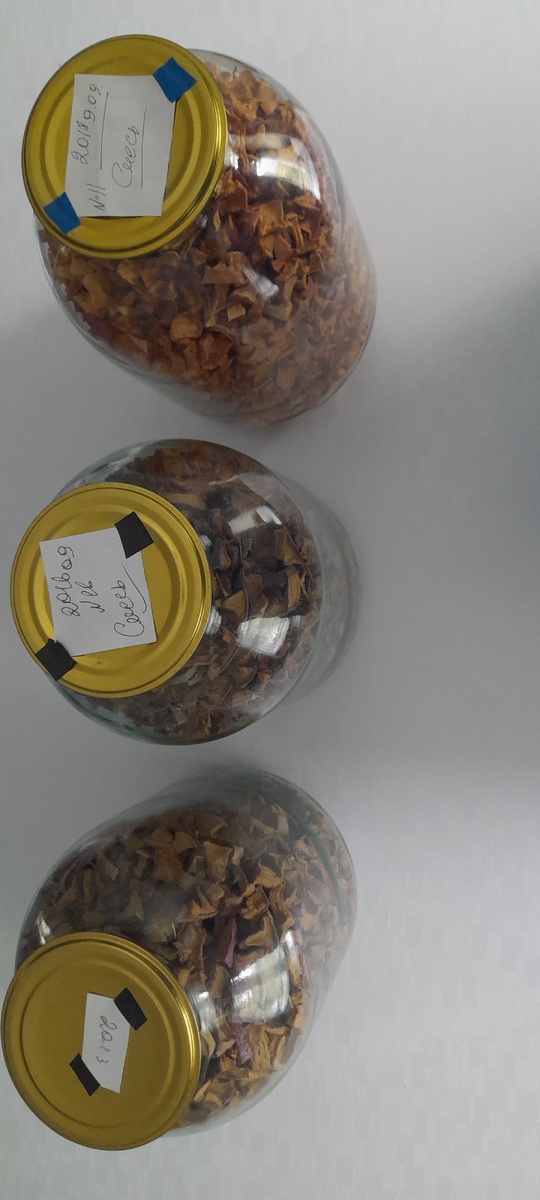 Сушеные яблоки которые хрянятся много много лет