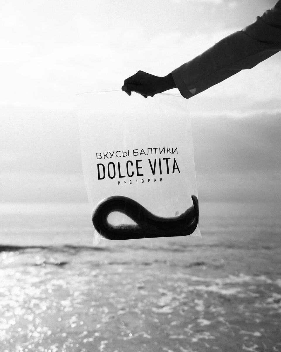 Балтийский угорь на побережье Балтийского моря