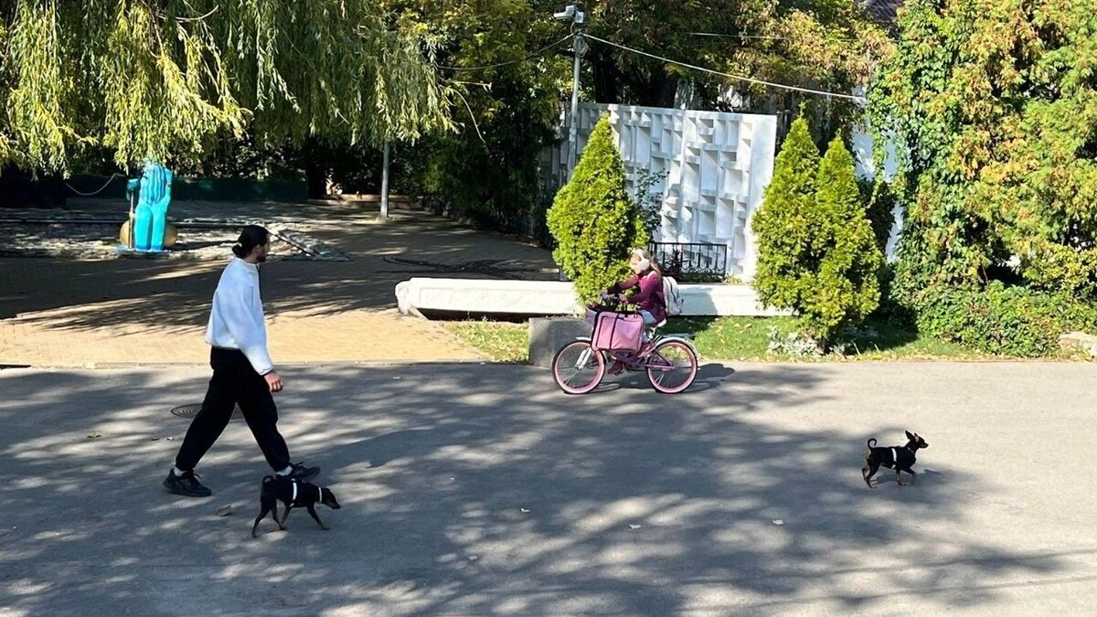     Источник: rostovgazeta.ru