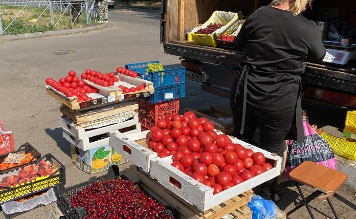    Фото: Курские известия