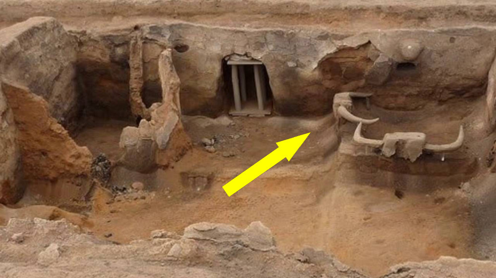    Раскрыта загадка Чатал-Хююка — первый город в истории человечества