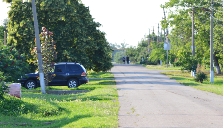 Фото автора. 20.06.2025.