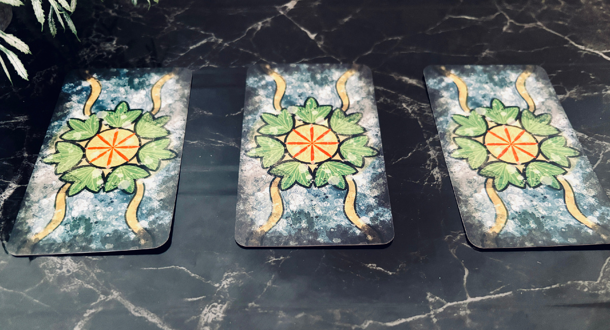 Выбор варианта 