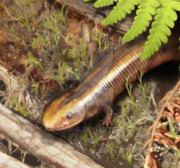 Чинлестегофис выполз на поверхность.