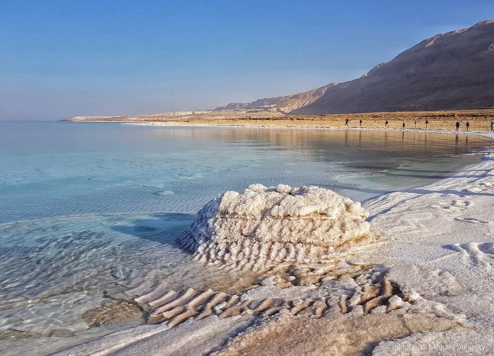 Фото из открытого источника 