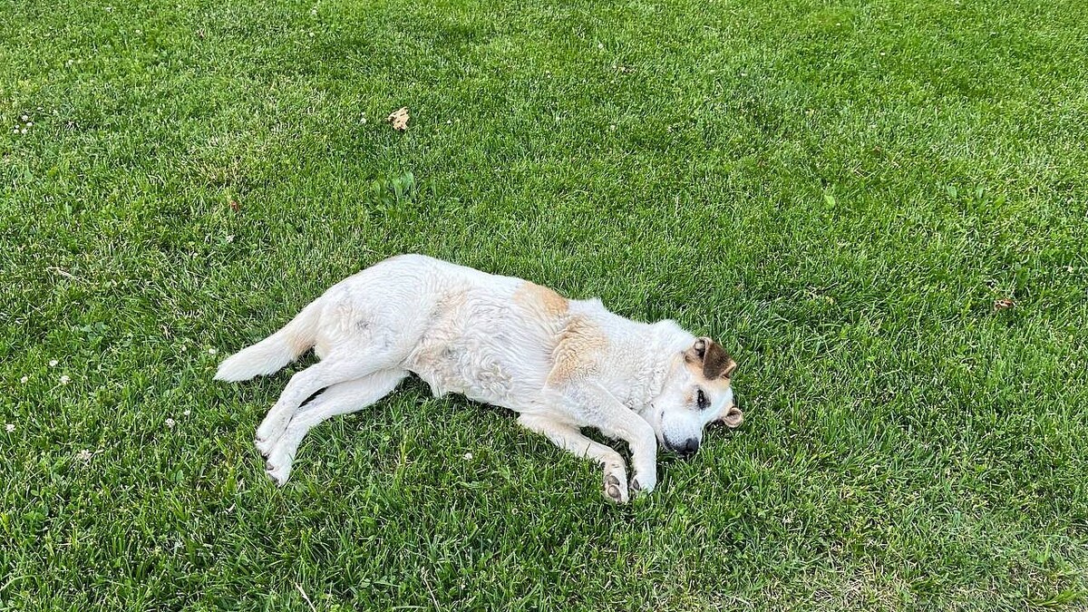    Фото: телеканал «Краснодар»