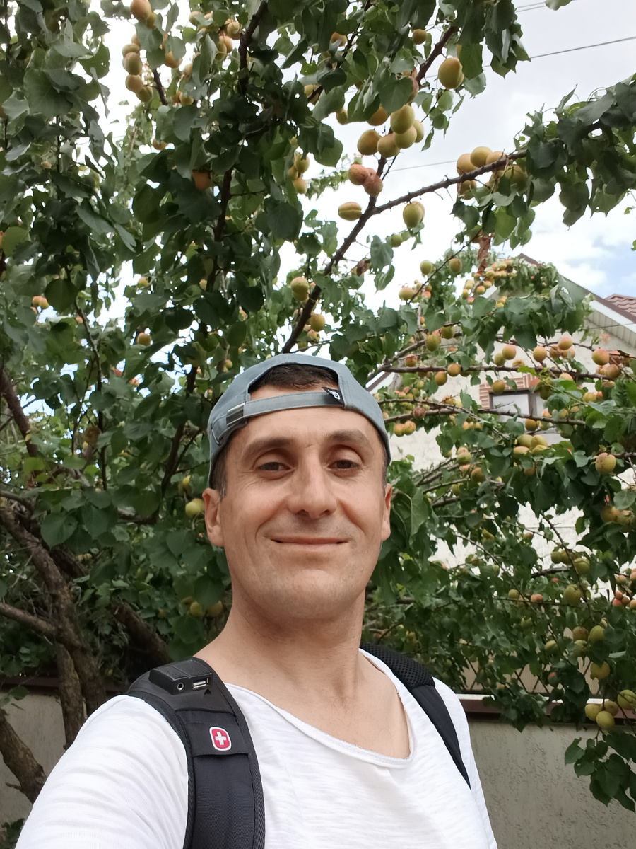 Автор нашел абрикосы...